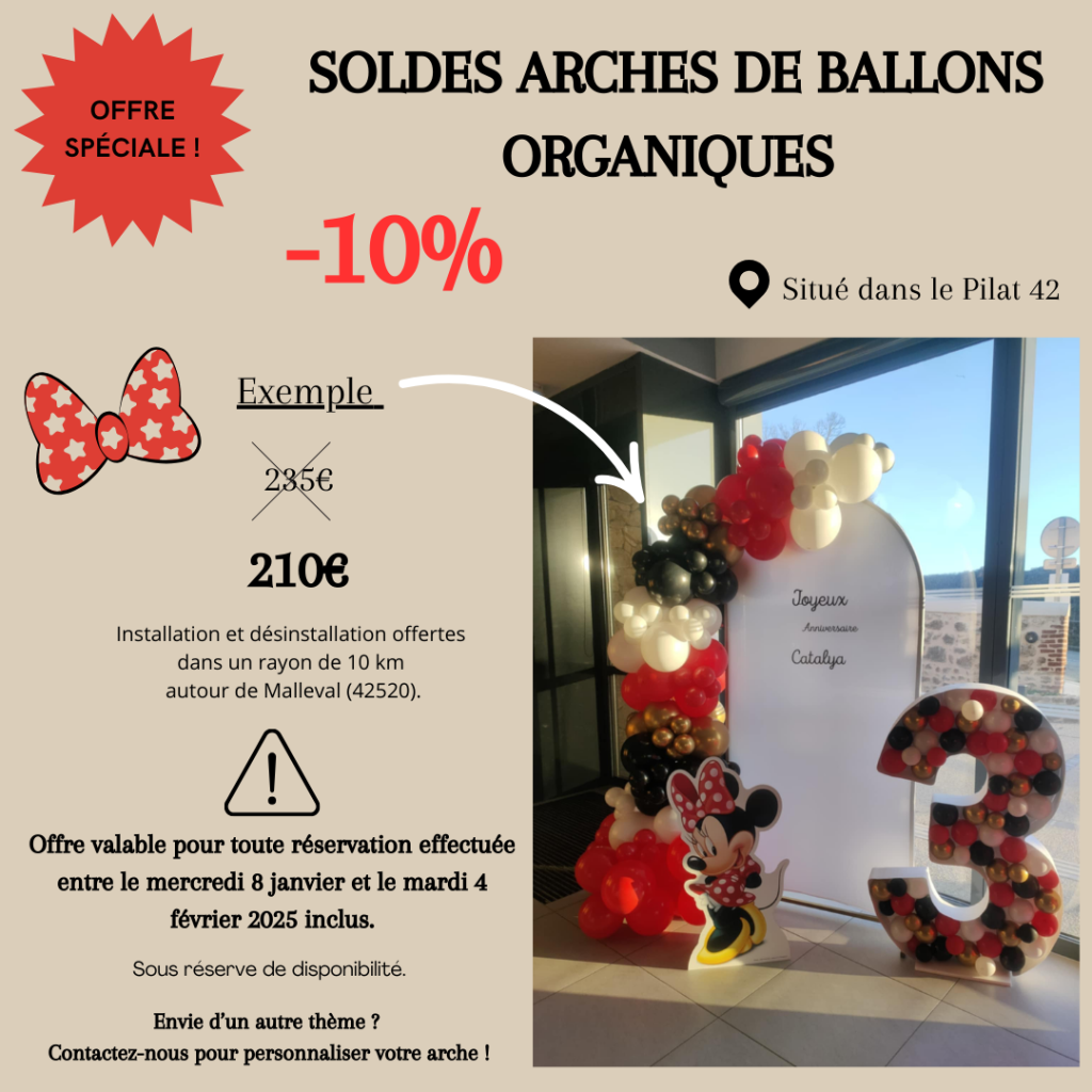 Offre spéciale CinDéco : -10% sur les arches de ballons organiques, avec installation offerte autour de Malleval (42520).